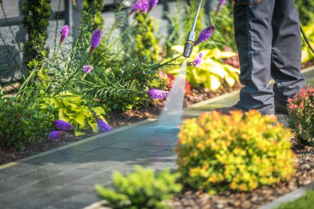 Best Driveway Pressure Washing  in Yountville, CA